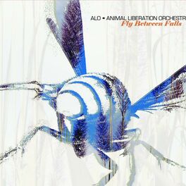 ALO (Animal Liberation Orchestra)