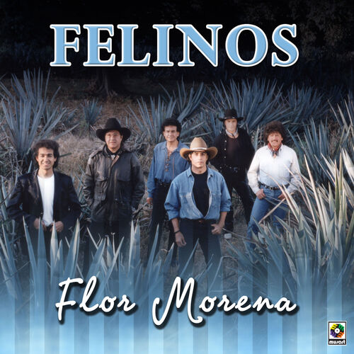 Los Felinos: albums, songs, playlists | Listen on Deezer