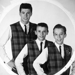 Artist picture of Bee Gees