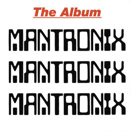 Artist picture of Mantronix