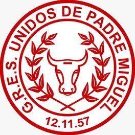 Artist picture of Unidos de Padre Miguel