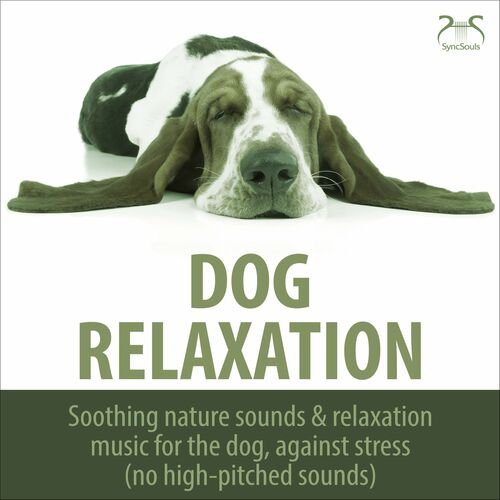 Soothing dog sale music for thunder