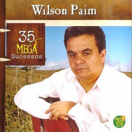 Wilson Paim