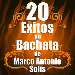 Artist picture of Bachata Salvaje