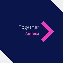 Artist picture of Amieca