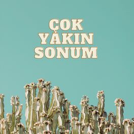Artist picture of Mert Tunçmakas