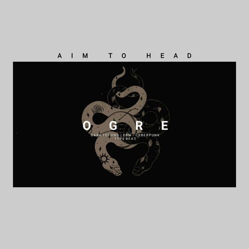 Aim to head обои