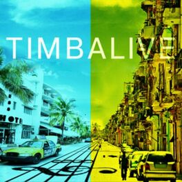 Artist picture of TIMBALIVE