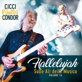 Cicci Guitar Condor