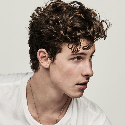 Shawn Mendes - Reviews & Ratings on Musicboard