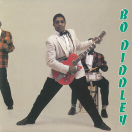 Artist picture of Bo Diddley