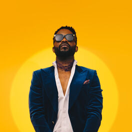 Artist picture of Fally Ipupa