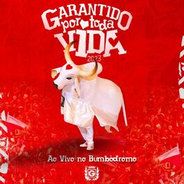 Boi Bumba Garantido