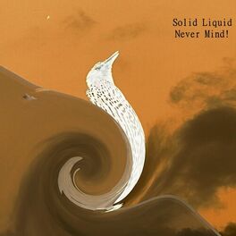 Artist picture of Solid Liquid