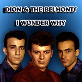 Artist picture of Dion & The Belmonts