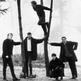 Artist picture of The Sonics