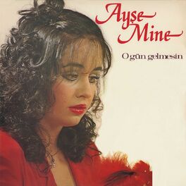Artist picture of Ayse Mine