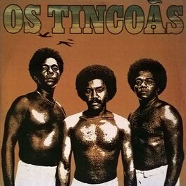 Artist picture of Os Tincoas
