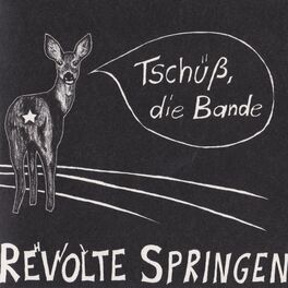 Artist picture of Revolte Springen