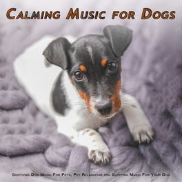 Artist picture of Calming Music for Dogs