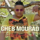 Cheb Mourad