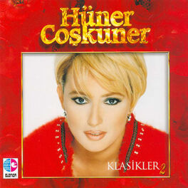 Artist picture of Hüner Coskuner