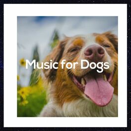 Artist picture of Music for Pets Library