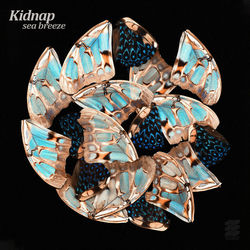Kidnap & Leo Stannard - Moments (Ben Bohmer & Nils Hoffmann Rmx)