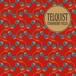 Artist picture of Telquist