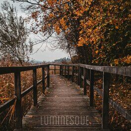 Luminesque