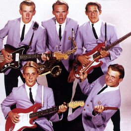 Artist picture of The Surfaris