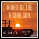 DJ Cosher