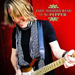 Andy Timmons Band