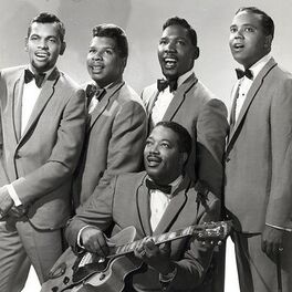 Artist picture of The Drifters
