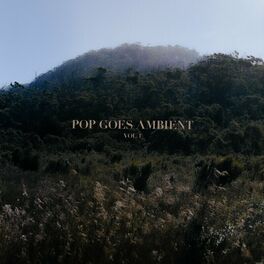 Pop Goes Ambient