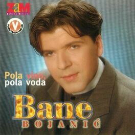 Artist picture of Bane Bojanic