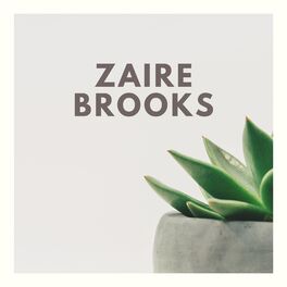 Artist picture of Zaire Brooks