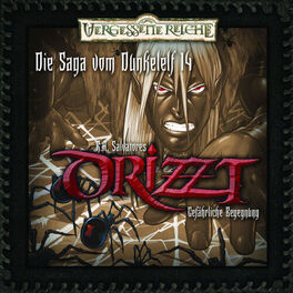 Artist picture of DRIZZT