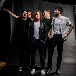 Artist picture of The Pigeon Detectives