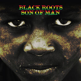 Artist picture of Black Roots