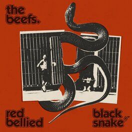 The Beefs