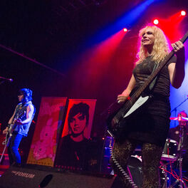 Artist picture of The Dollyrots