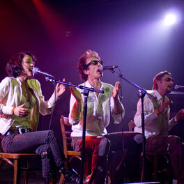 Artist picture of Alabama 3