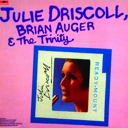 Artist picture of Julie Driscoll, Brian Auger & The Trinity