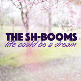 Artist picture of The Sh-Booms