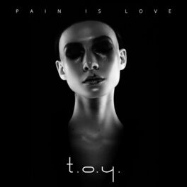 Artist picture of T.O.Y.