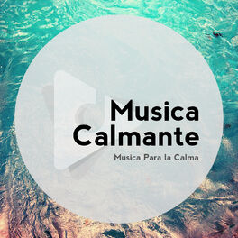 Artist picture of Música Calmante