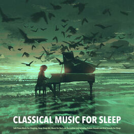 Deep Sleep Music Experience