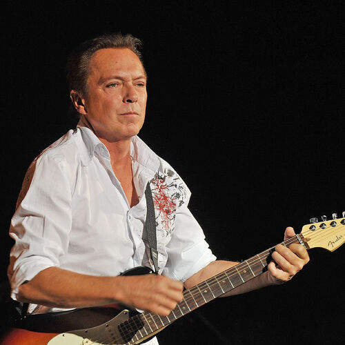 David Cassidy: albums, songs, playlists | Listen on Deezer