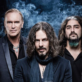 Artist picture of The Winery Dogs